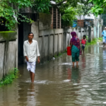 বিশেষ প্রতিবেদন