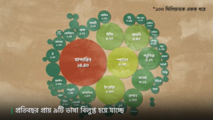 মাতৃভাষা বাংলা, রাজনীতি ও বাংলাদেশ